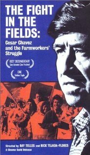 Постер The Fight in the Fields