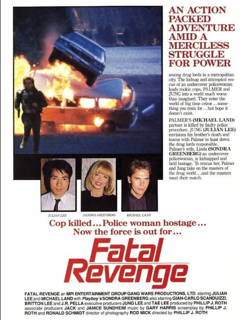 Постер Fatal Revenge