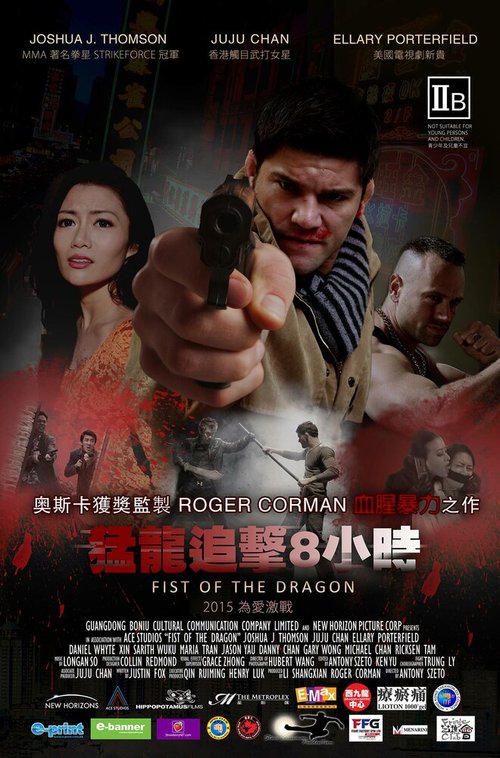 Постер Кулак дракона