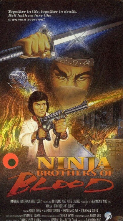 Постер Ninja Knight Brothers of Blood