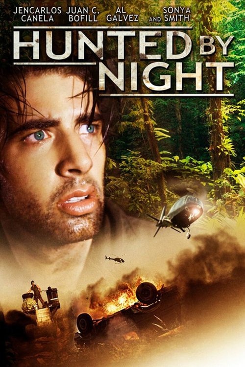 Постер Ночной охотник