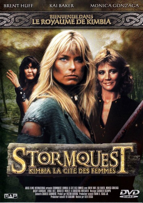 Постер Stormquest