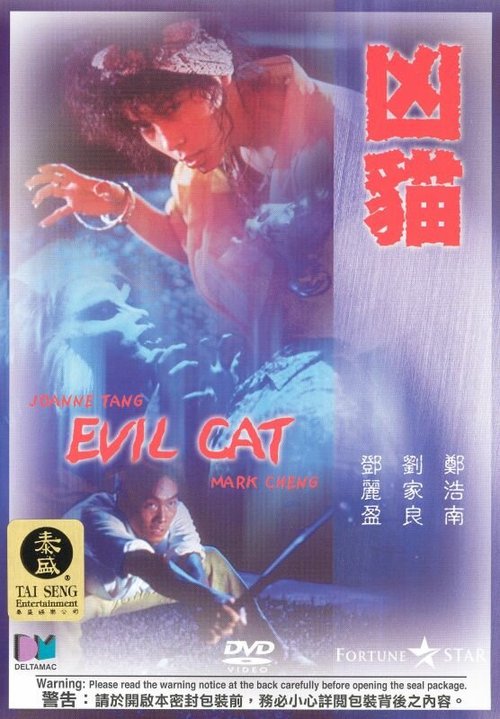 Постер Злой кот
