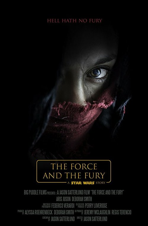 Постер Звёздные войны: Сила и ярость