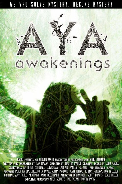 Постер Aya: Awakenings
