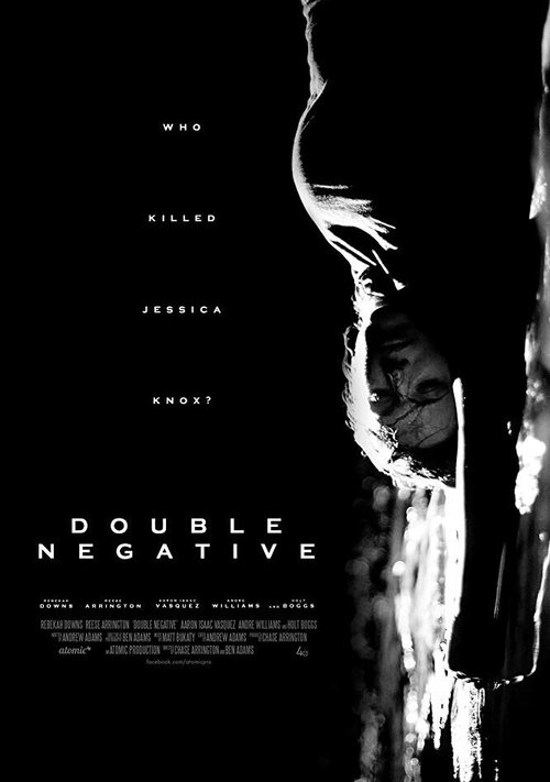 Постер Double Negative