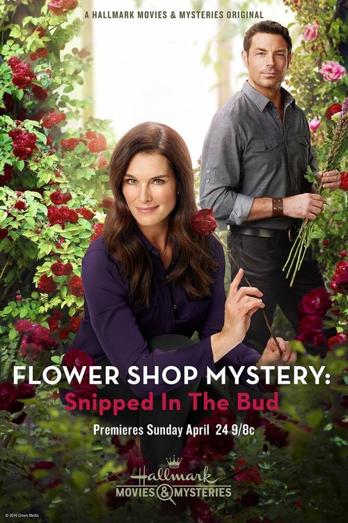 Постер Flower Shop Mystery: Snipped in the Bud