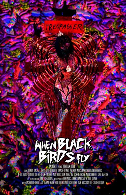 Постер Когда прилетают черные птицы