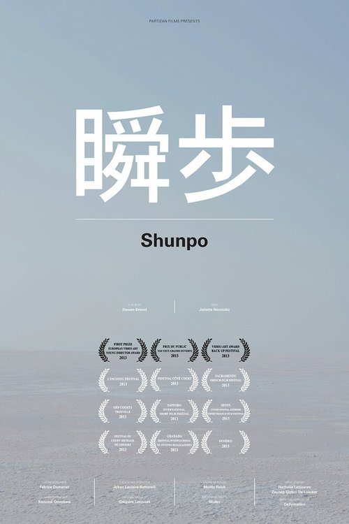 Постер Shunpo