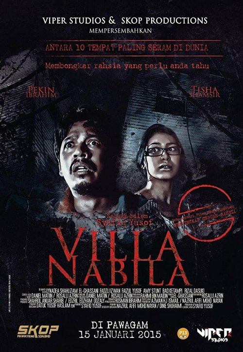 Постер Вилла Набила