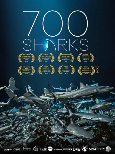 700 акул скачать фильм торрент