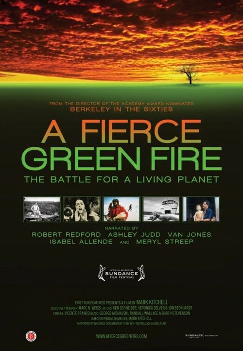 Постер A Fierce Green Fire