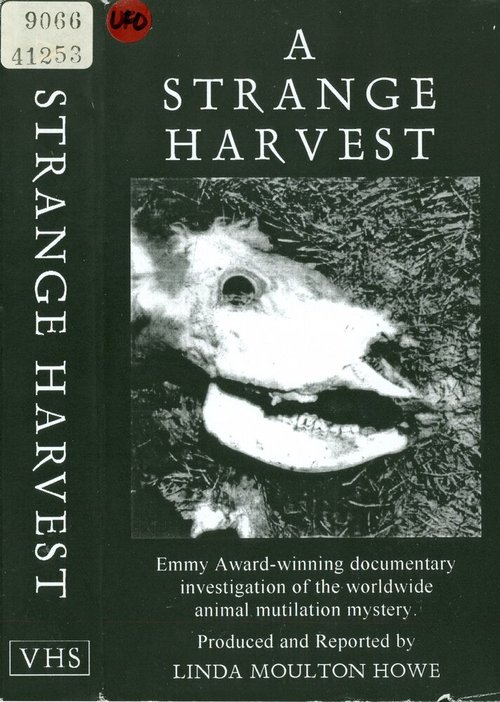 Постер A Strange Harvest