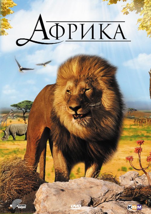 Постер Африка 3D