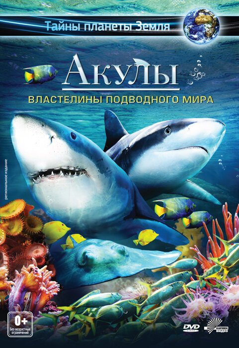 Постер Акулы 3D: Властелины подводного мира