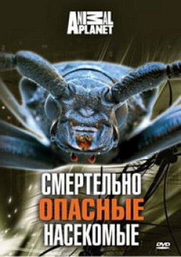 Постер Animal Planet: Смертельно опасные насекомые