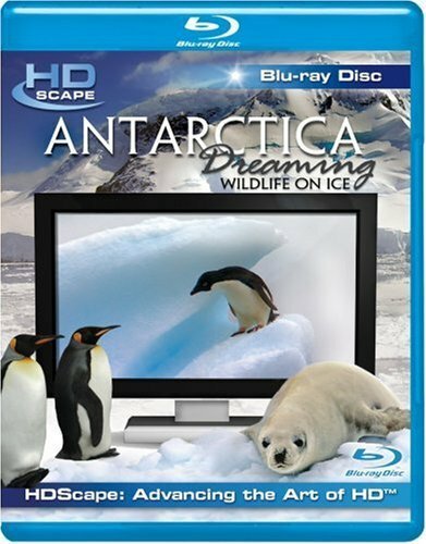 Постер Антарктика — Дикая жизнь на льду