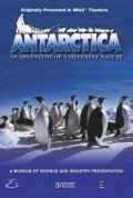Постер Антарктика: Путешествие в неизвестную природу