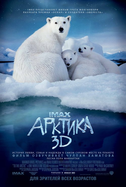 Постер Арктика 3D