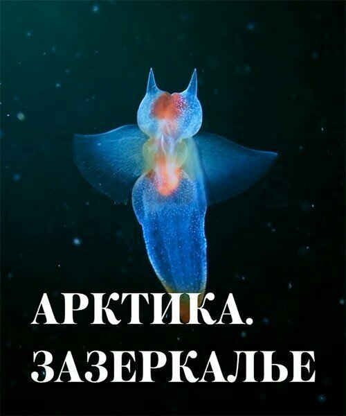 Постер Арктика. Зазеркалье