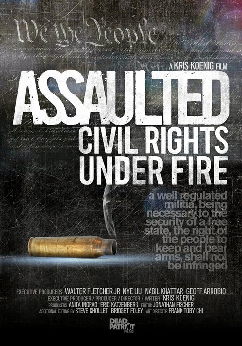 Assaulted: Civil Rights Under Fire скачать фильм торрент