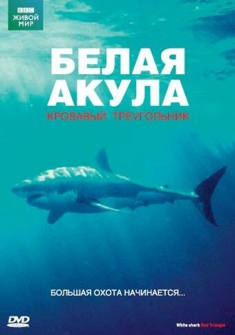 Постер BBC: Белая акула. Кровавый треугольник