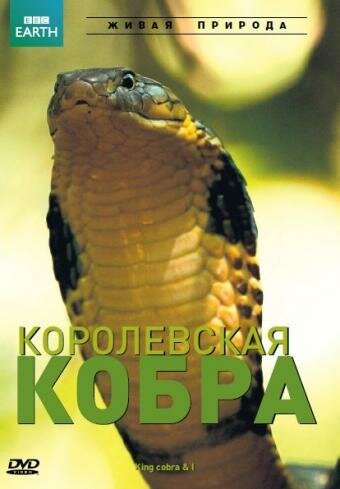 Постер BBC: Королевская кобра