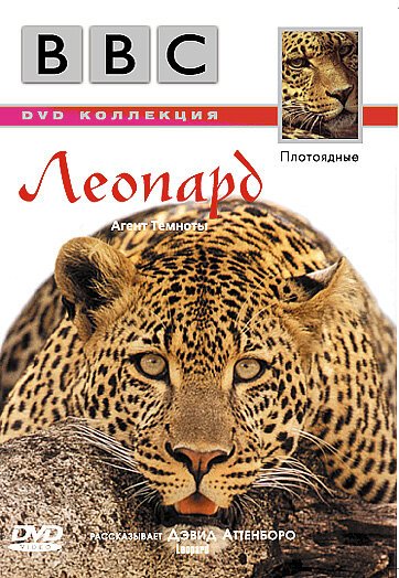 Постер BBC: Леопард