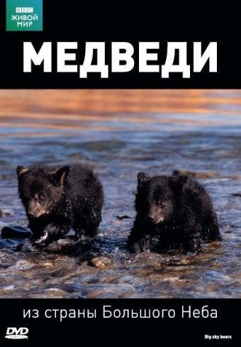 Постер BBC: Медведи из страны большого неба