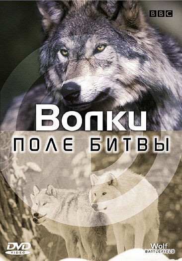 Постер BBC: Поле битвы: Волки
