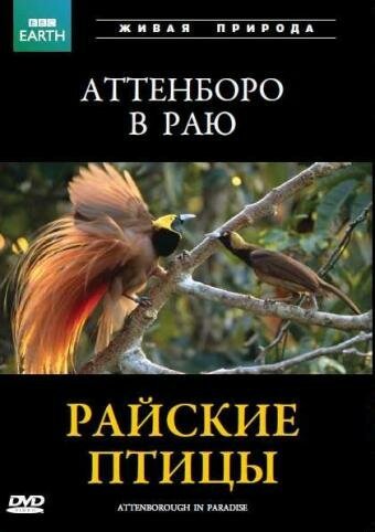 Постер BBC: Райские птицы