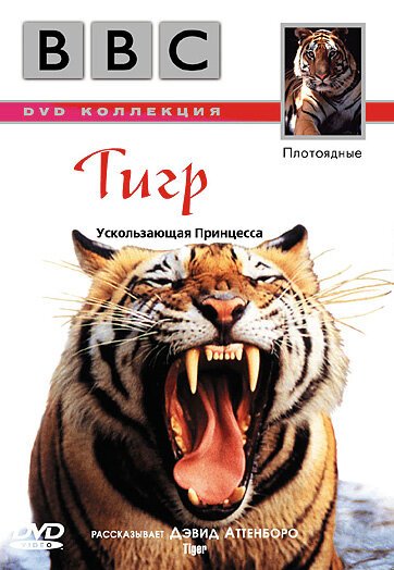 BBC: Тигр скачать фильм торрент