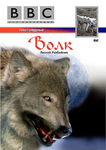 Постер BBC: Волк