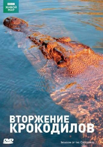 Постер BBC: Вторжение крокодилов