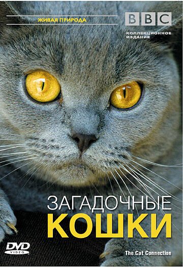 Постер BBC: Загадочные кошки