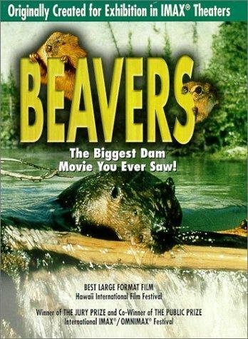 Beavers скачать фильм торрент