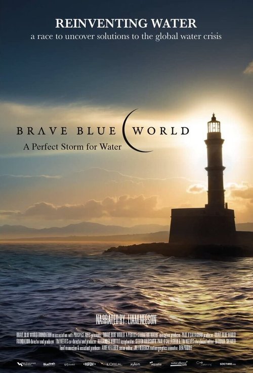 Постер Brave Blue World