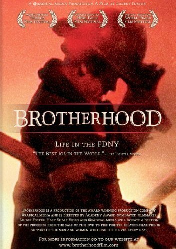 Постер Brotherhood