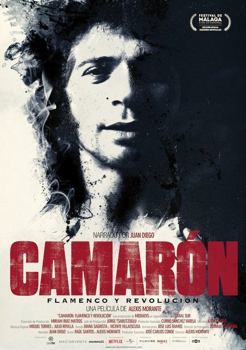 Camarón: Flamenco y revolución скачать фильм торрент