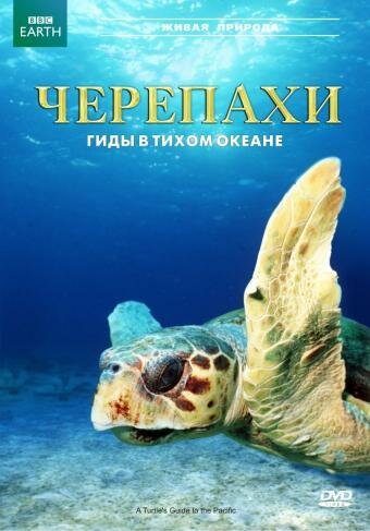Постер Черепахи: Гиды в Тихом океане