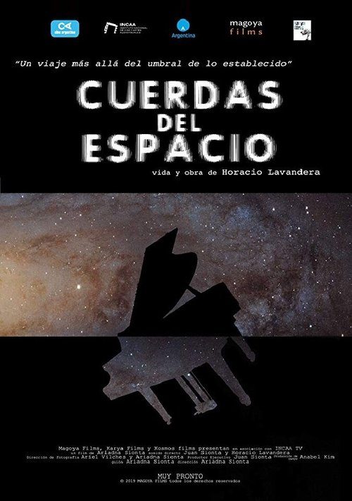 Постер Cuerdas del Espacio, Un recorrido por la obra de Horacio Lavandera