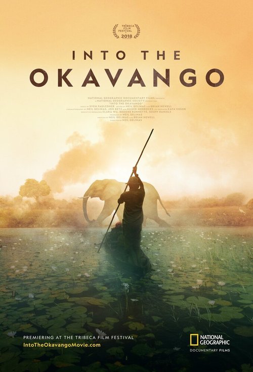 Постер Далеко в Окаванго