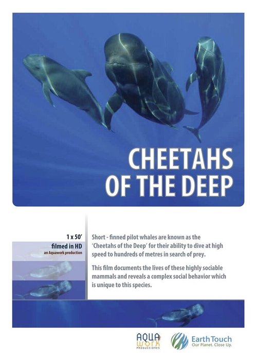 Постер Дельфины — гепарды морских глубин