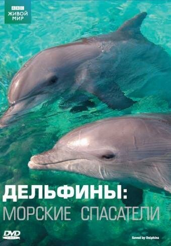 Постер Дельфины: Морские спасатели