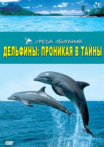 Постер Дельфины: Проникая в тайны