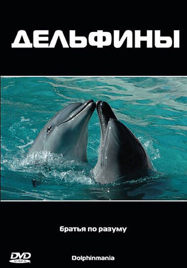 Постер Дельфины
