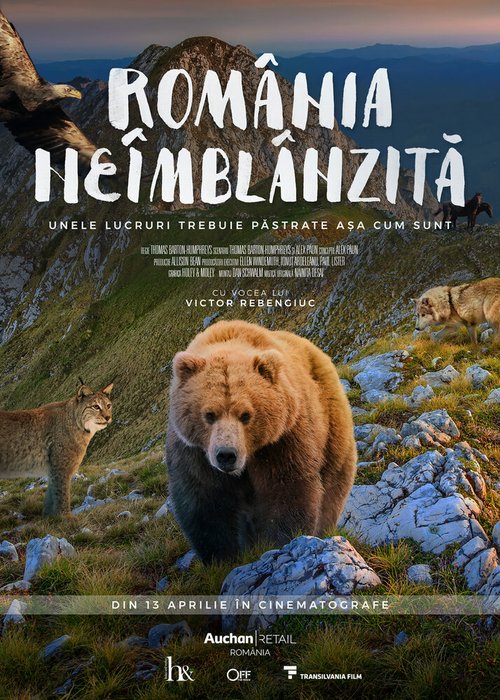 Постер Дикая Румыния