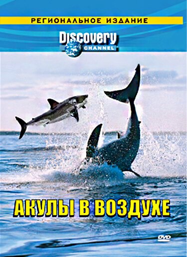 Постер Discovery: Акулы в воздухе