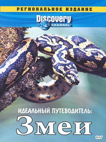 Постер Discovery: Идеальный путеводитель. Змеи