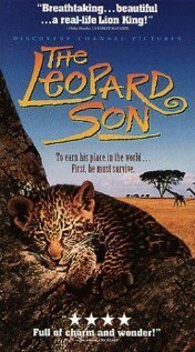 Постер Discovery: Сын леопарда